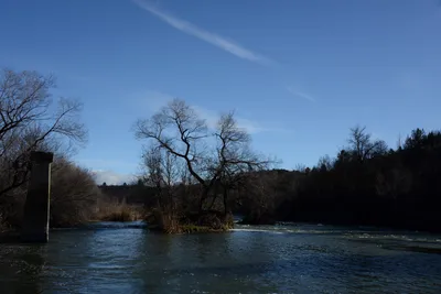 DSC_1095 (Large).JPG